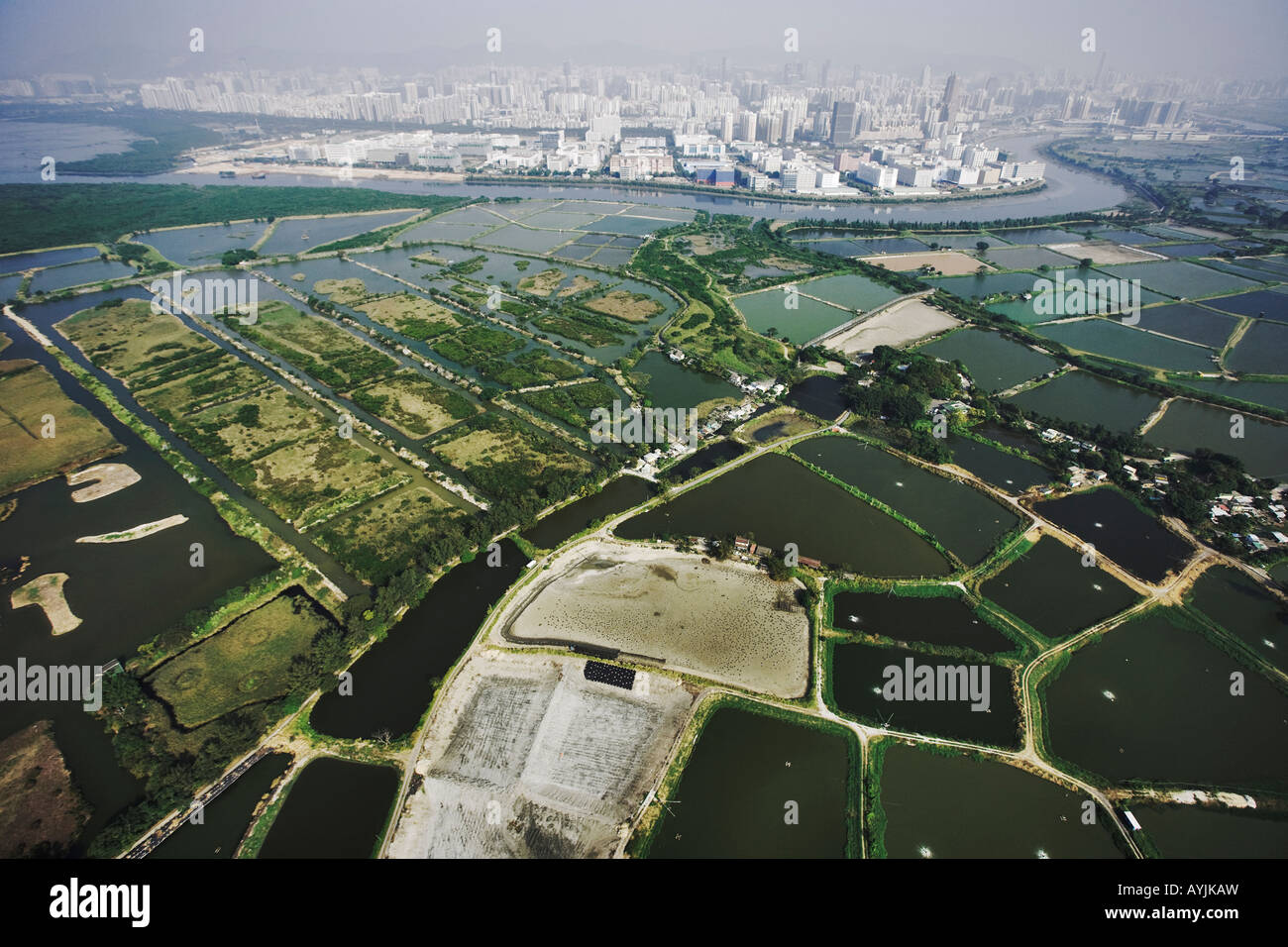 Luftaufnahme von Fischteichen im Mai Po Nature Reserve. Stadt Shenzhen China im Hintergrund. Hong Kong Stockfoto