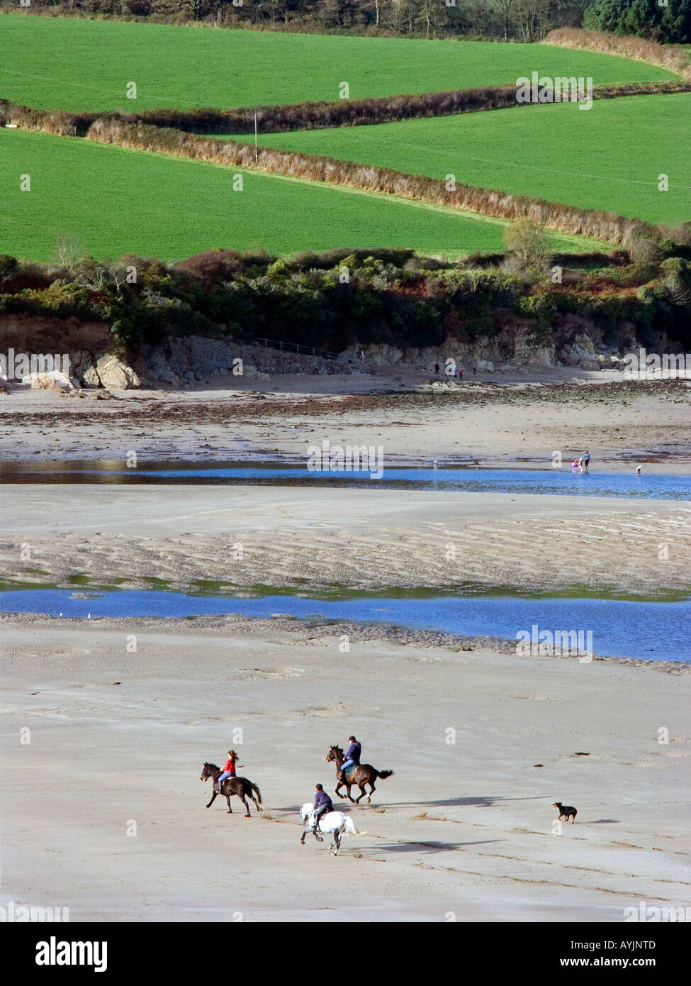 Menschen reiten auf Mothecombe Beach, einer Gezeitenmeerde und einem AOBN in South Devon, Großbritannien Stockfoto
