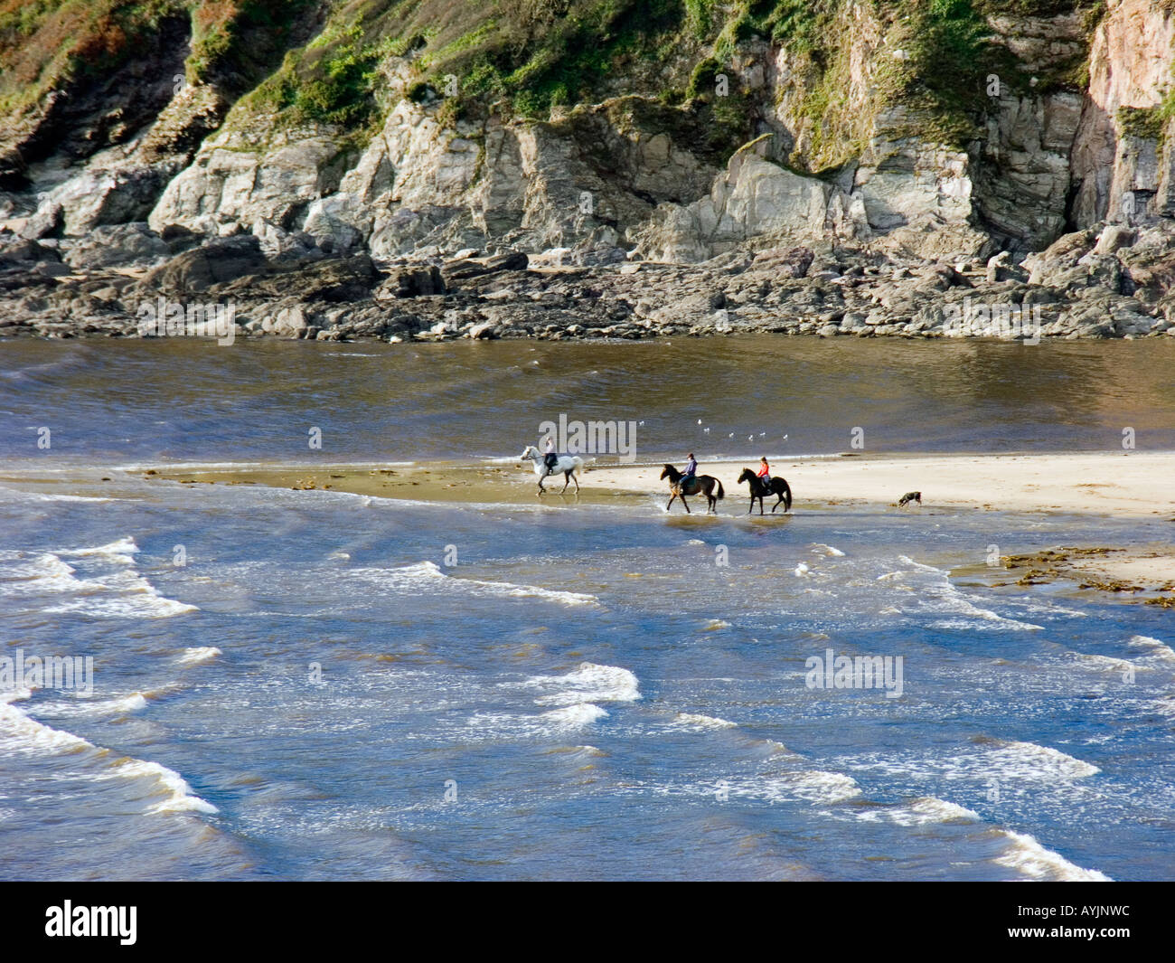 Menschen, die Pferde am Ufer des malerischen Mothecombe Beach, einer Gezeitenmeerde und einer AONB in South Devon, Großbritannien, reiten Stockfoto