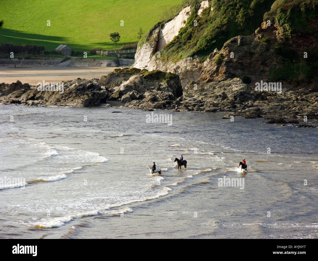 Menschen, die Pferde am Wasser reiten, liegen am malerischen Mothecombe Beach, einem Gezeitenarm und einem AONB in South Devon, Großbritannien Stockfoto