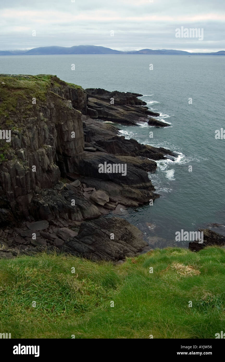 Slea Head Klippen, Dingle Halbinsel, Co. Kerry, Irland Stockfoto