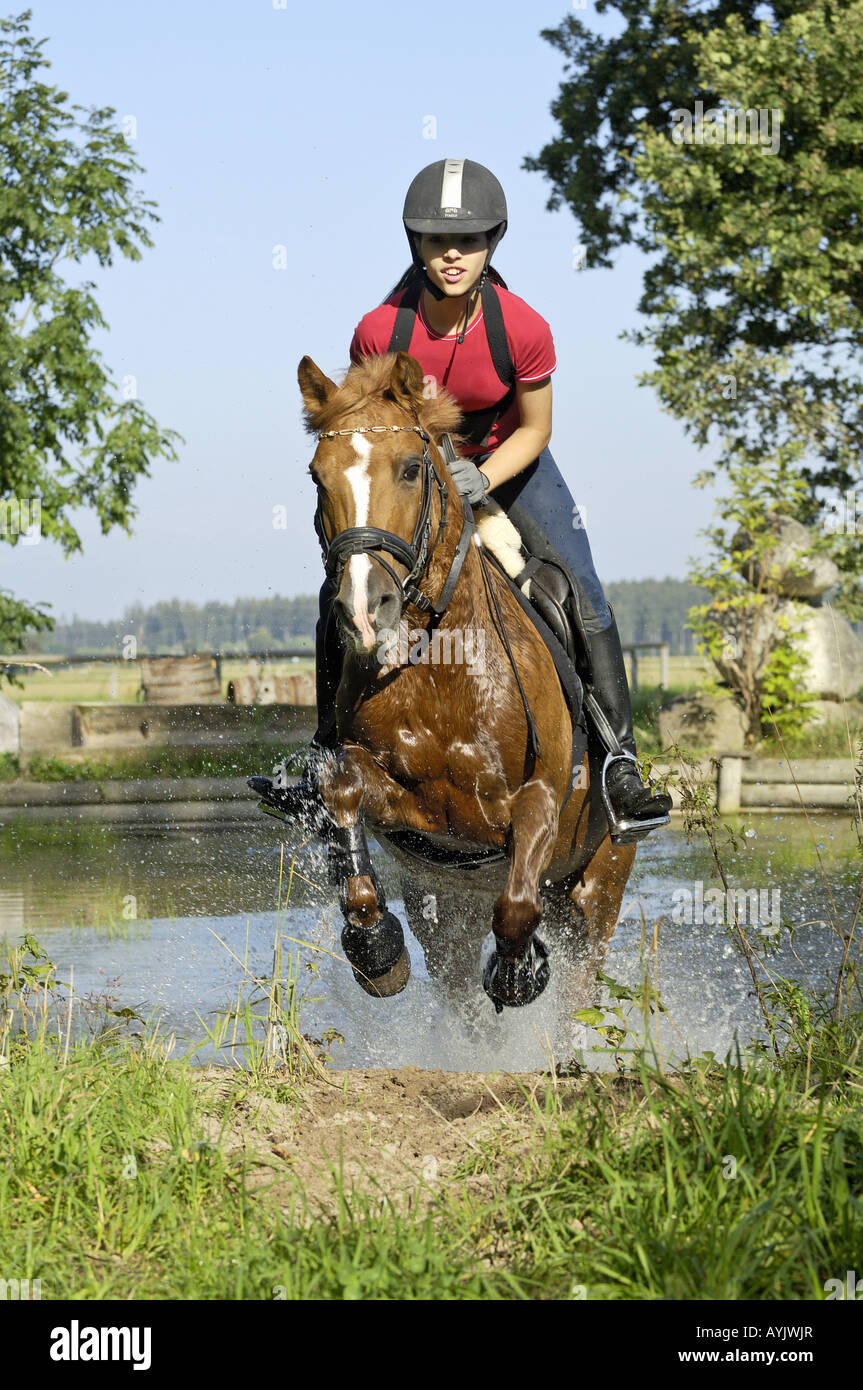 Mädchen auf einem deutschen Pony springen aus dem Wasser Stockfoto
