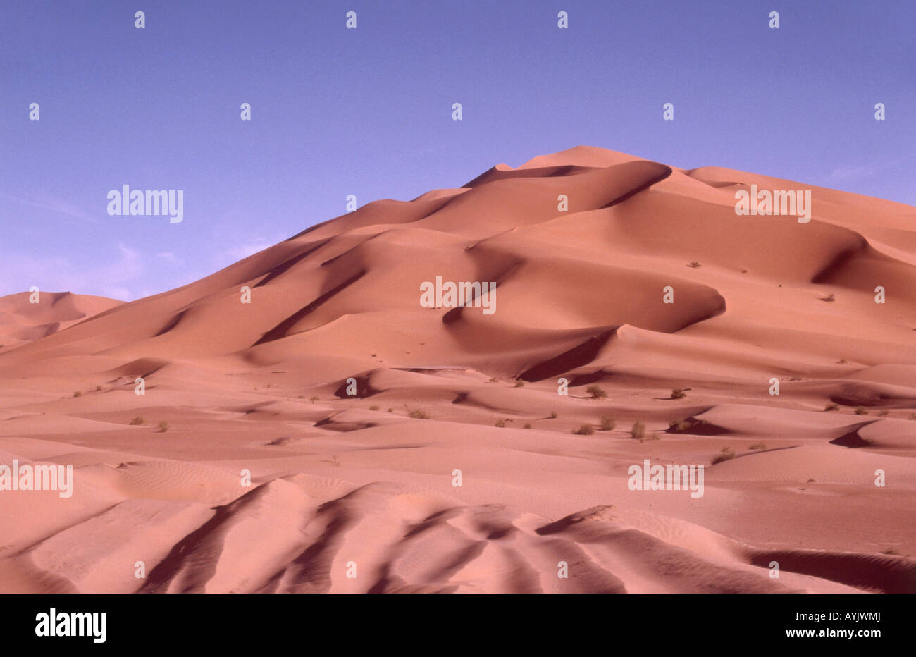 Wüste Landschaft, Erg El Schaum, Wüste Sahara, Demokratische Volksrepublik Algerien Stockfoto