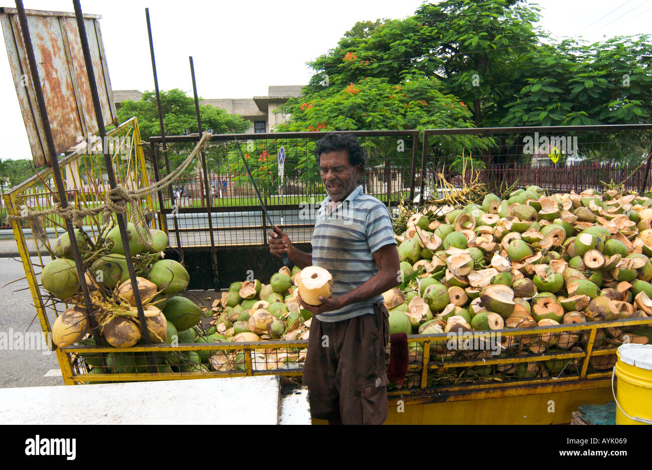 Kokosnuss Wasser Anbieter in Port of Spain, Trinidad Stockfoto