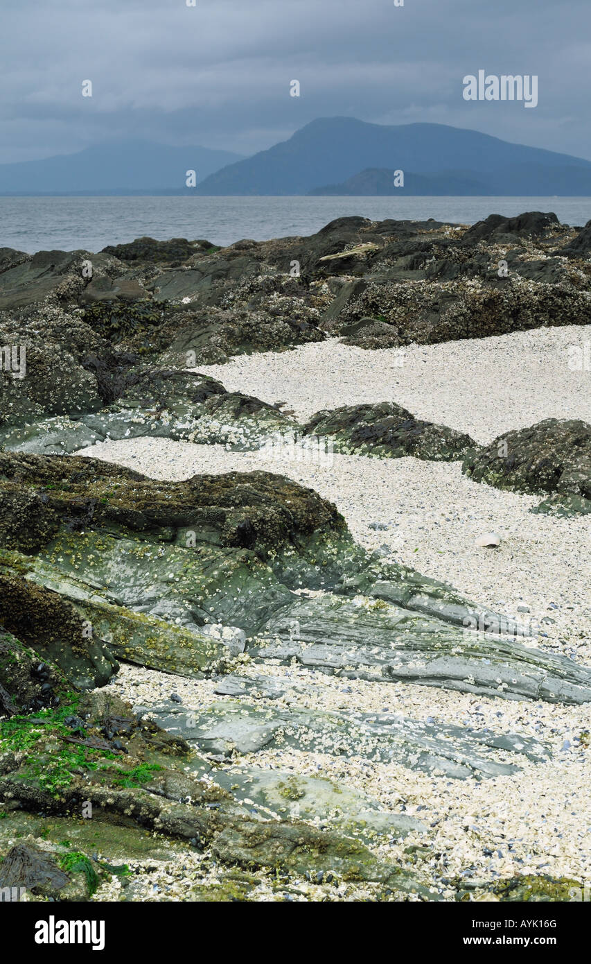 Shell Beach, Vancouver Island 2008 Stockfoto
