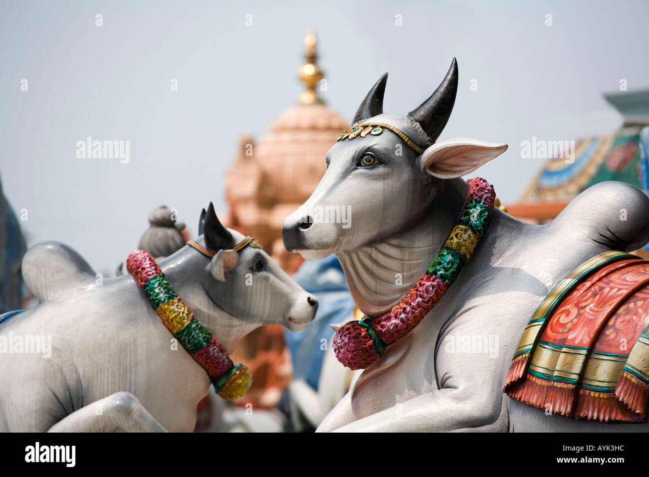 Dekorative Kühe, heilige Symbole des Glaubens Stockfoto