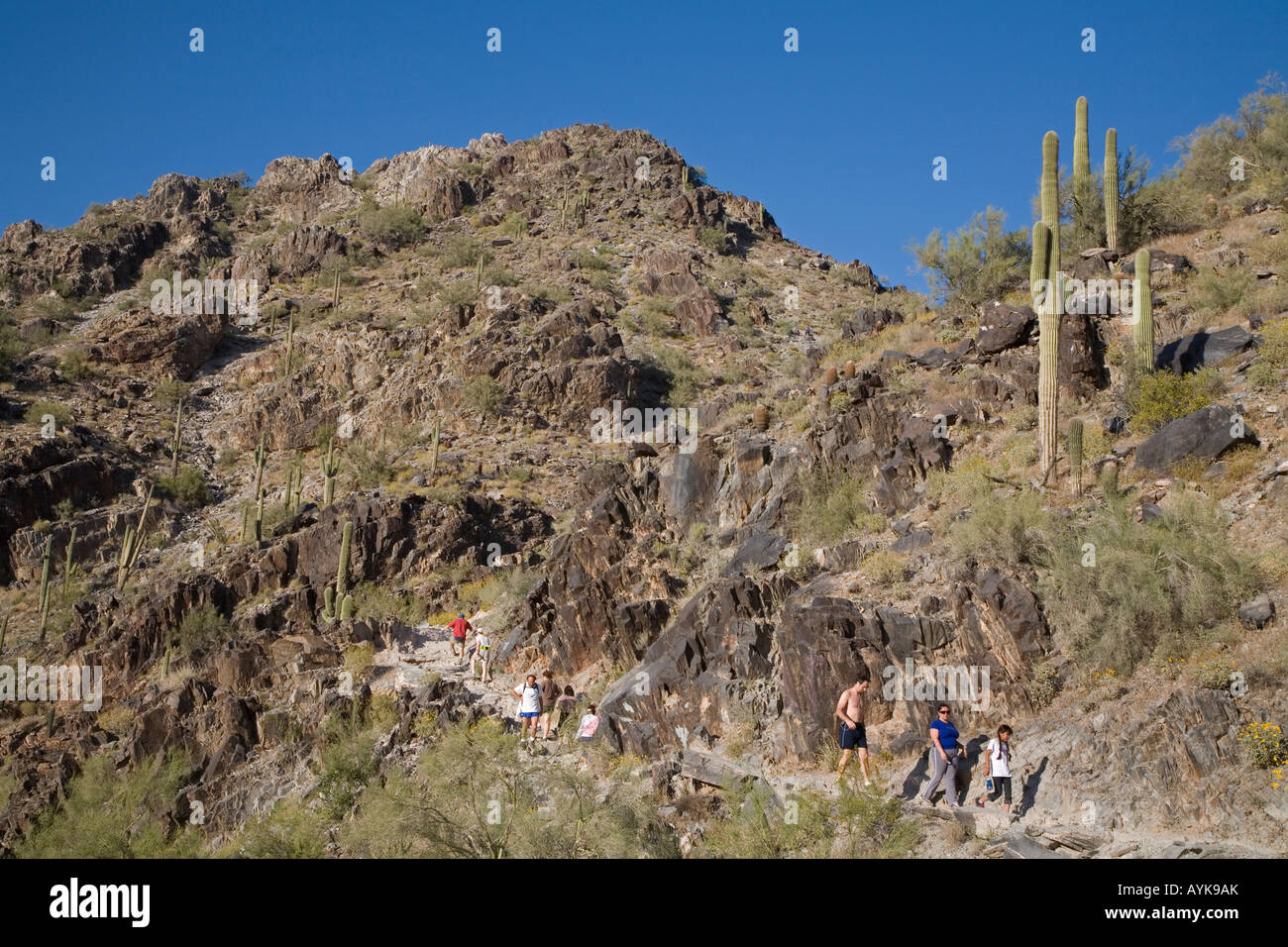 Wanderer Klettern Piestewa Peak Stockfoto