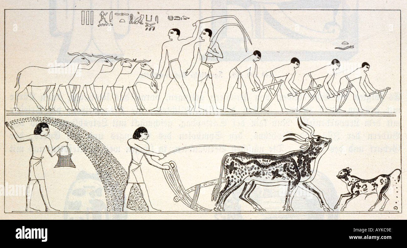 Alten Ägypten Landwirtschaft Stockfoto