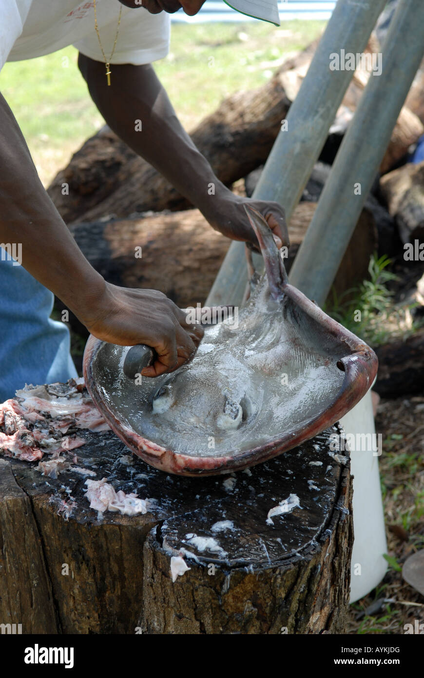 Ray Fisch, Kochen im Freien, kreolische Küche Stockfoto