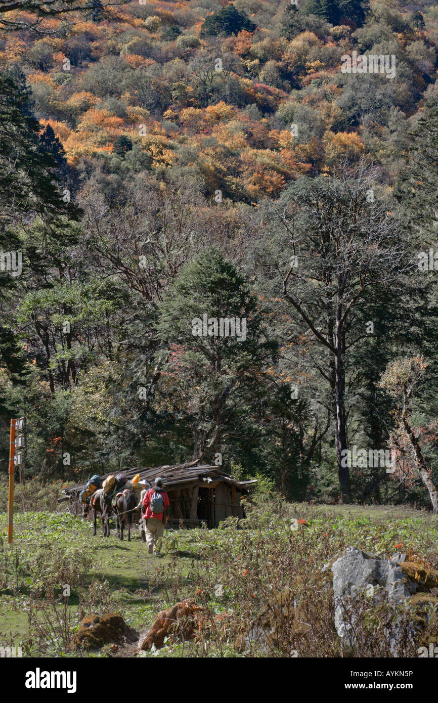 Tibetische Mann und Frau trekking Führer in Herders Hütte, Zou Zu Tong Wiese, obere Weide Yongzhi Dorf, Yunnan, China Stockfoto