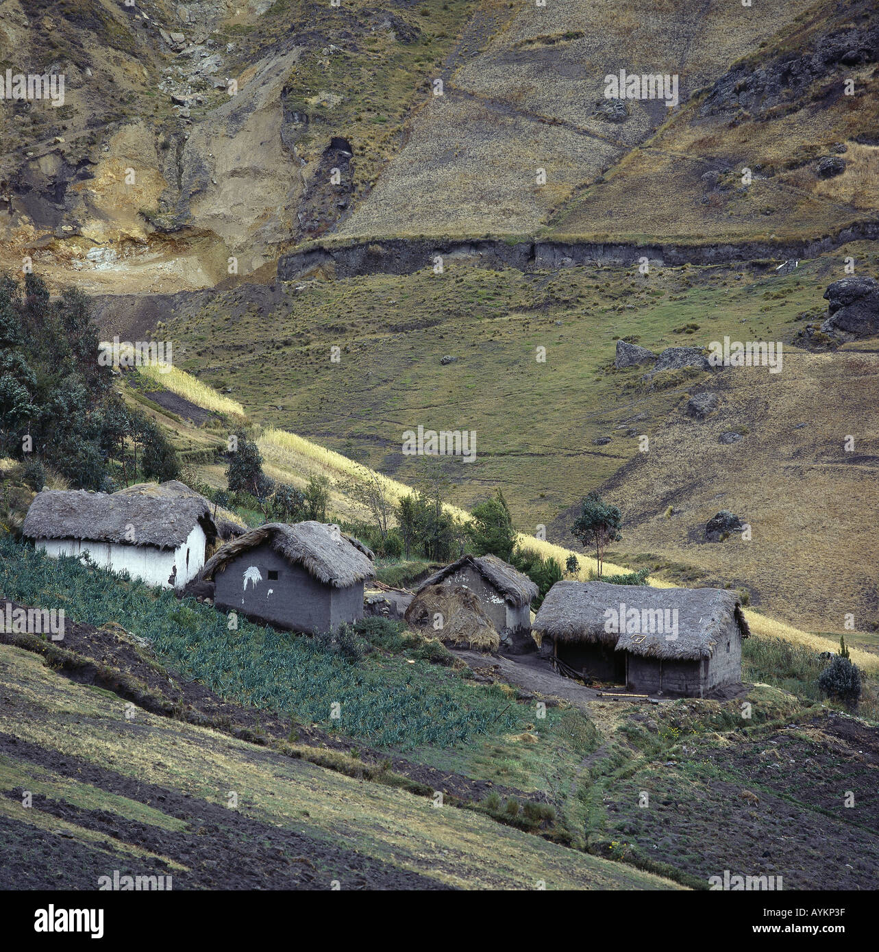 Haeuser in Den Bergen in der Naehe von Pusici Ecuador Stockfoto