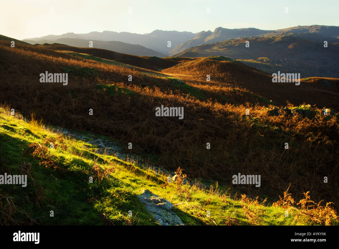 Blick vom Ewe Crag auf Loughrigg fiel in Richtung Crinkle Crags Nordwestgrat und Langdale Pikes Stockfoto