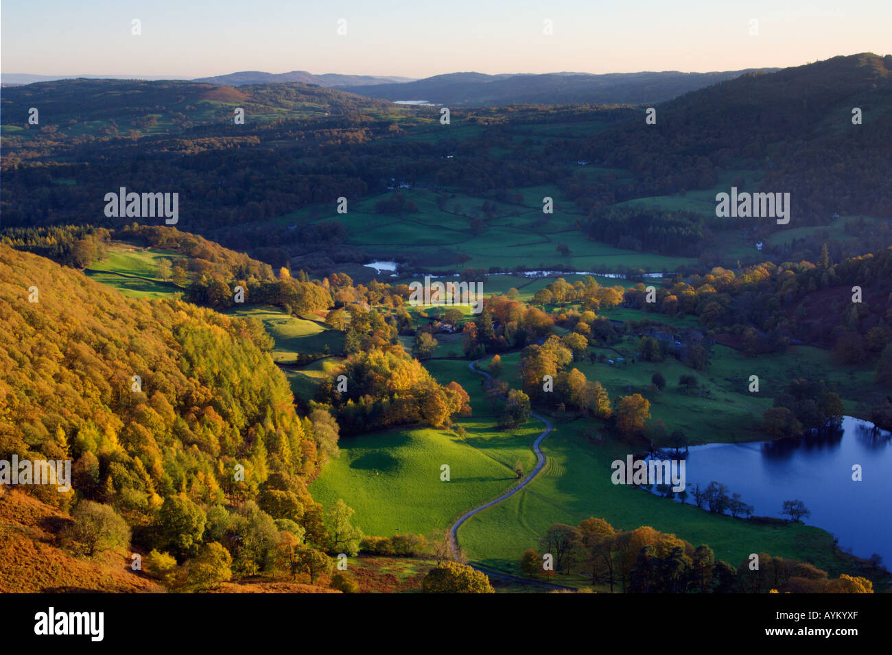 Herbstfärbung von den Hängen des Loughrigg fiel auf Loughrigg Tarn Tarn Fuß und das Brathay-Tal Stockfoto