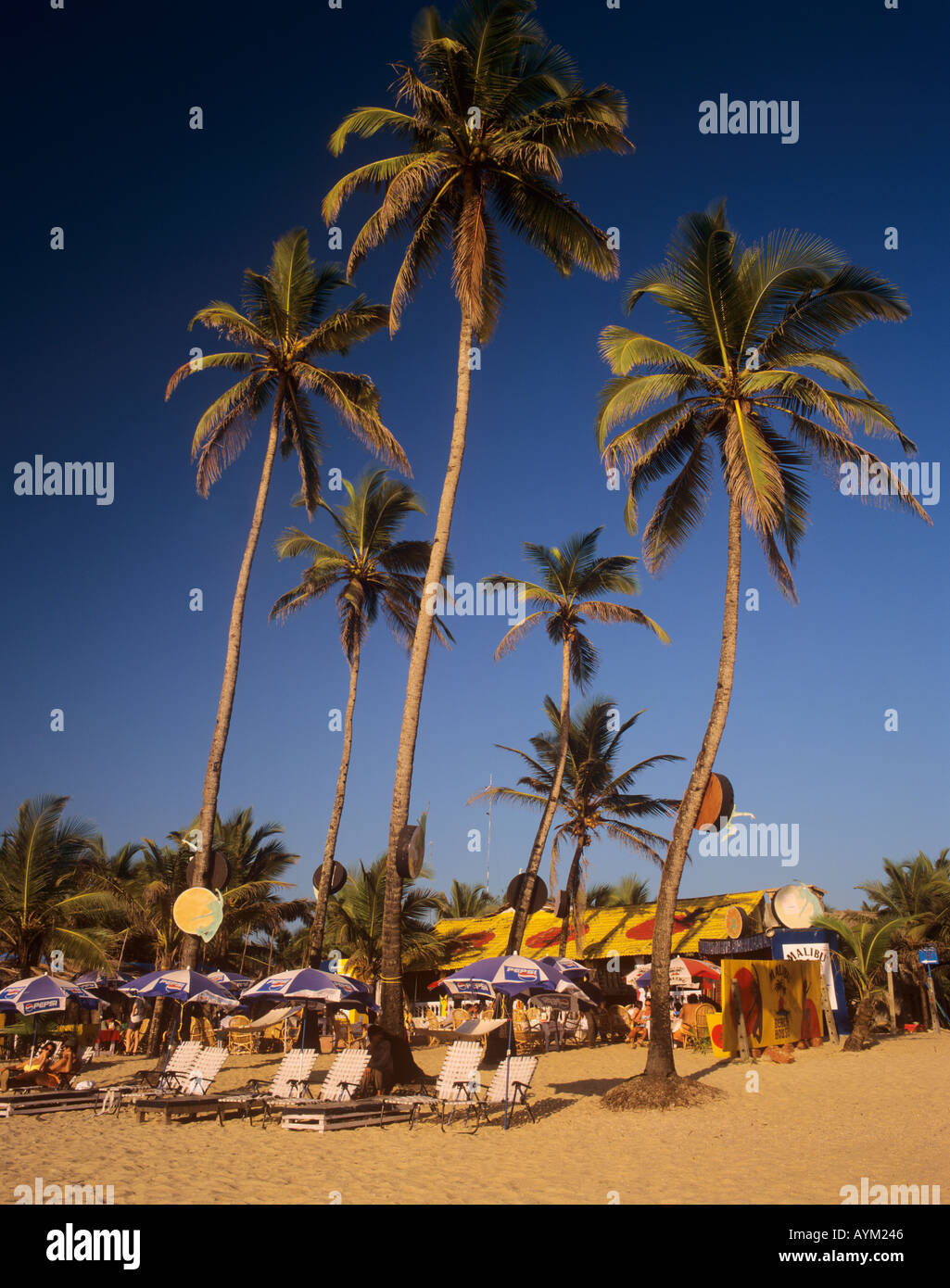 Beach Shack Colva Goa Indien Stockfoto