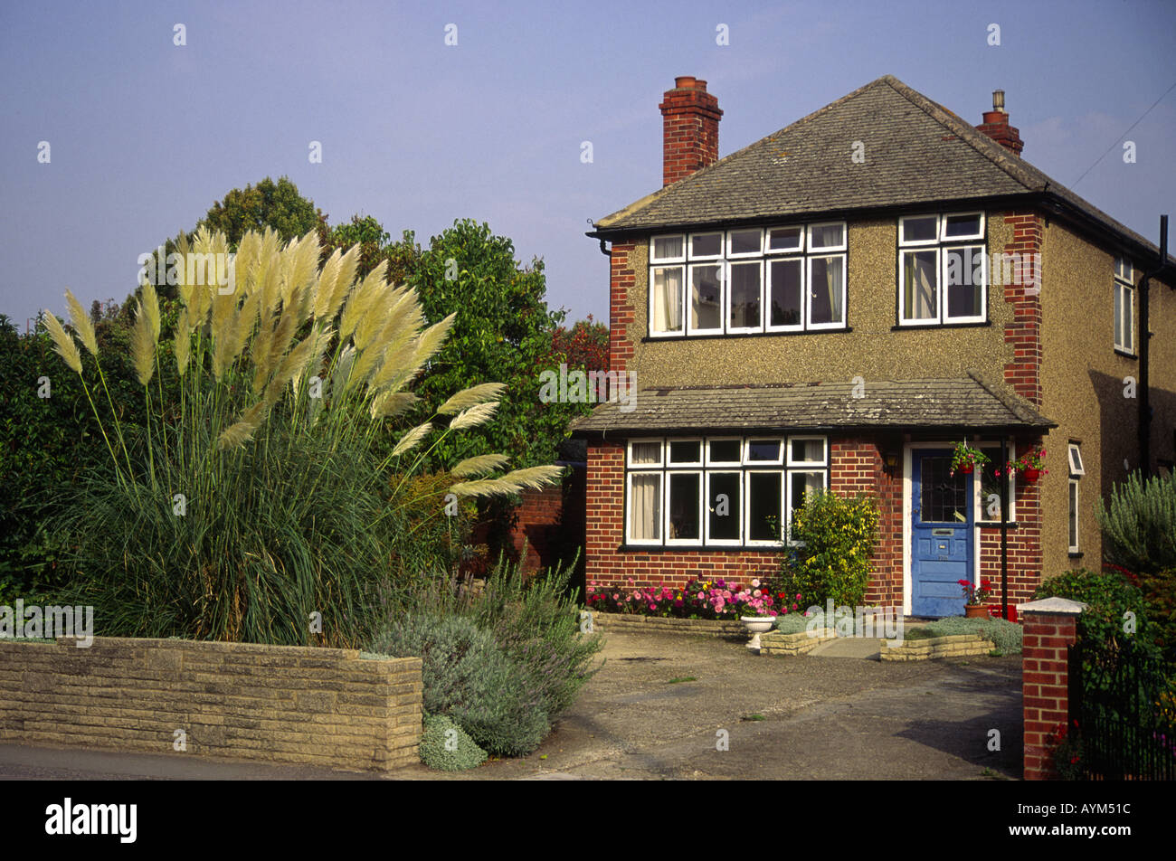Haus mit Pampasgras Windsdor Berkshire England UK Stockfoto
