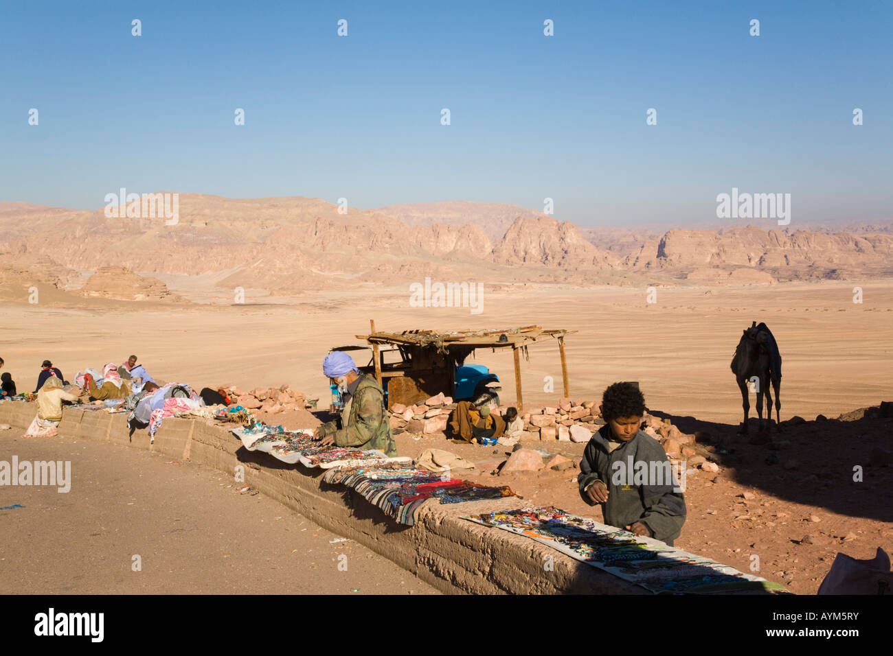 Halbinsel Sinai Ägypten Asien Februar Beduinen junge Sortierung Steinen am Straßenrand stand in Wüste mit Kamel jenseits zu verkaufen Stockfoto