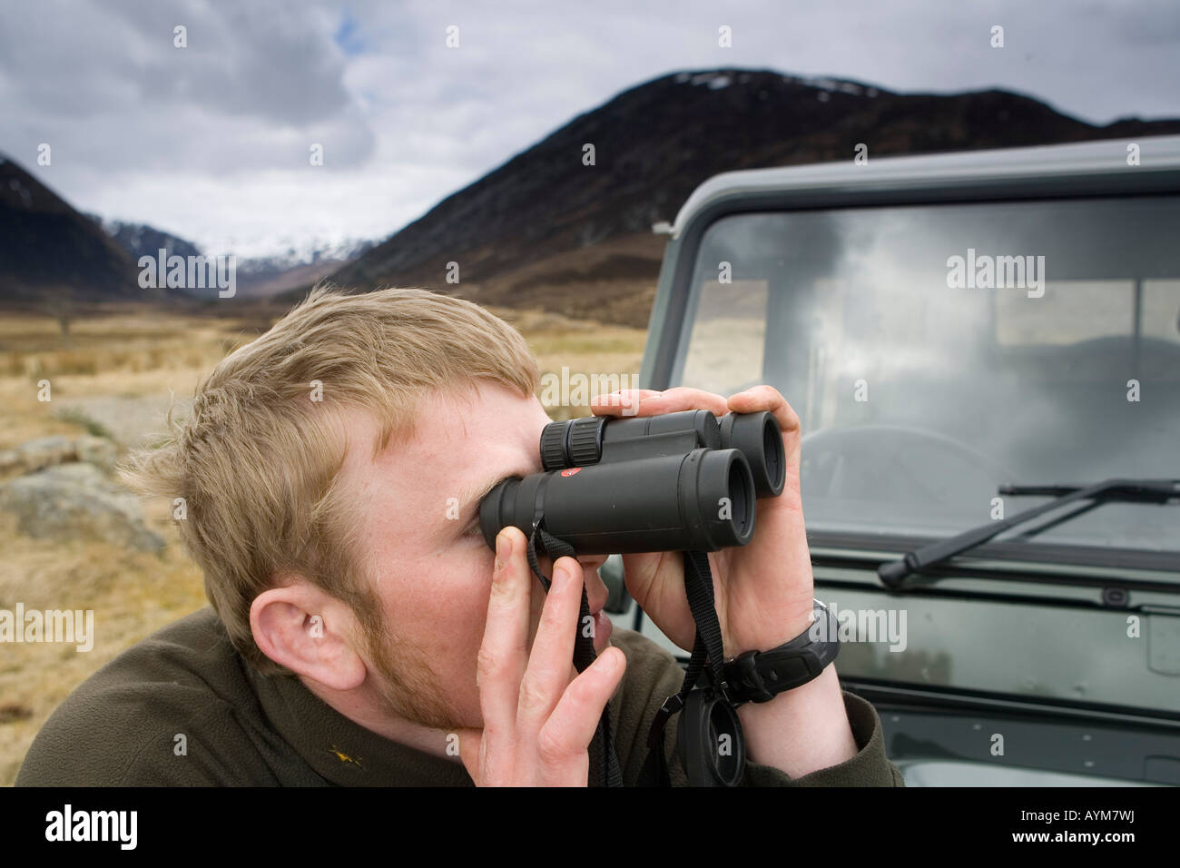 Alladale Stalker David Clark beobachtete Rothirsch neben Land Rover auf Alladale Estate, Schottland Stockfoto
