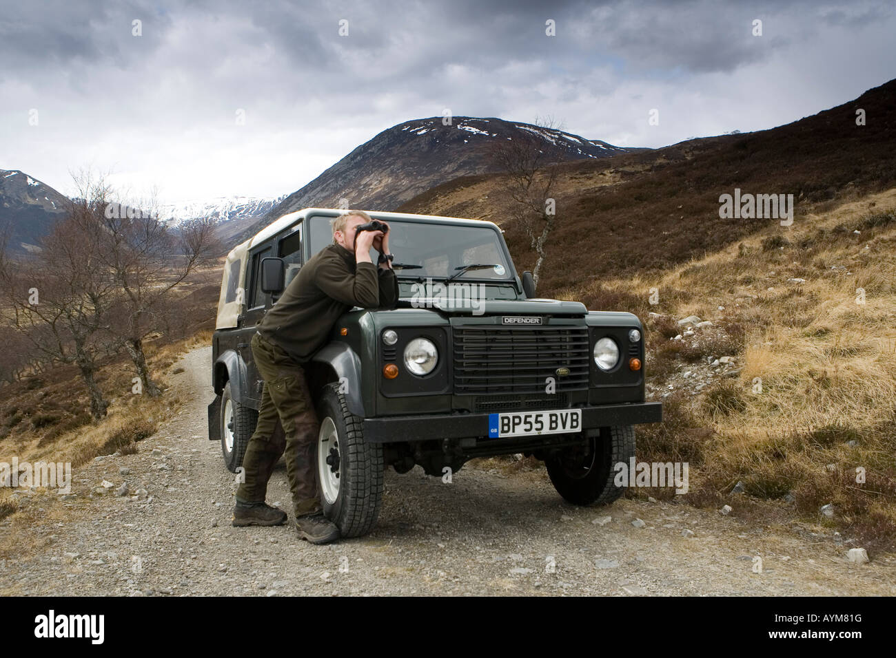 Alladale Stalker David Clark beobachtete Rothirsch neben Land Rover auf Alladale Estate, Schottland Stockfoto
