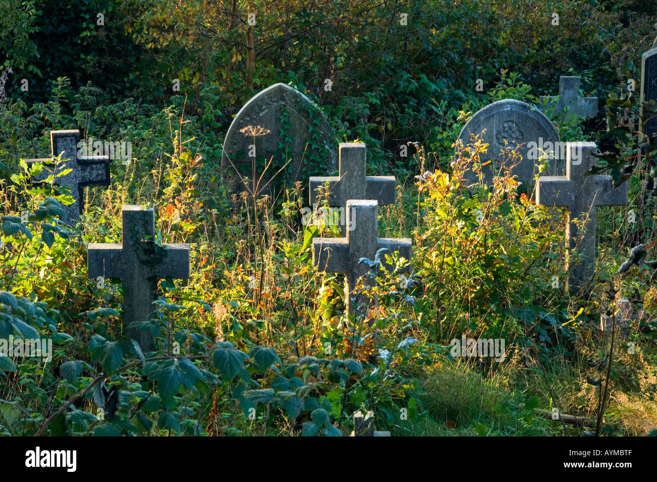 Überwuchert zugewachsenen Grabsteine an Str. Marys Kirchhof, Rostherne, in der Nähe von Knutsford, Cheshire, England, UK Stockfoto