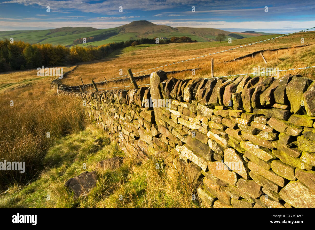 Trockenen Sie Stein Wand und Höhepunkt des Shutlingsloe, in der Nähe von Wildboarclough, Cheshire, Peak District National Park, England, Vereinigtes Königreich Stockfoto