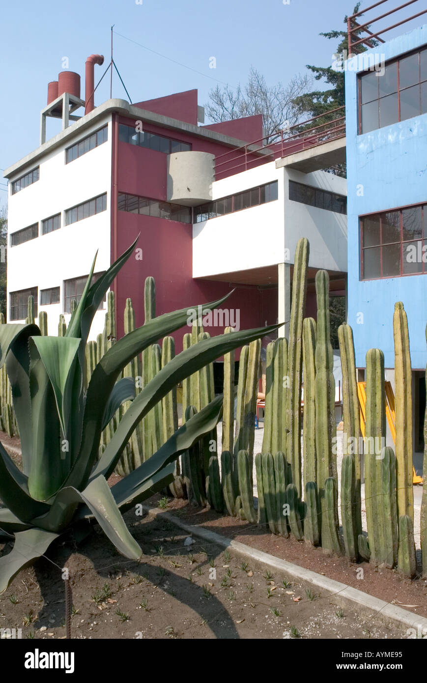 Museo Casa Estudio Diego Rivera y Frida Kahlo Diego Rivera und Frida Kahlo Studio Museum Mexiko-Stadt Stockfoto