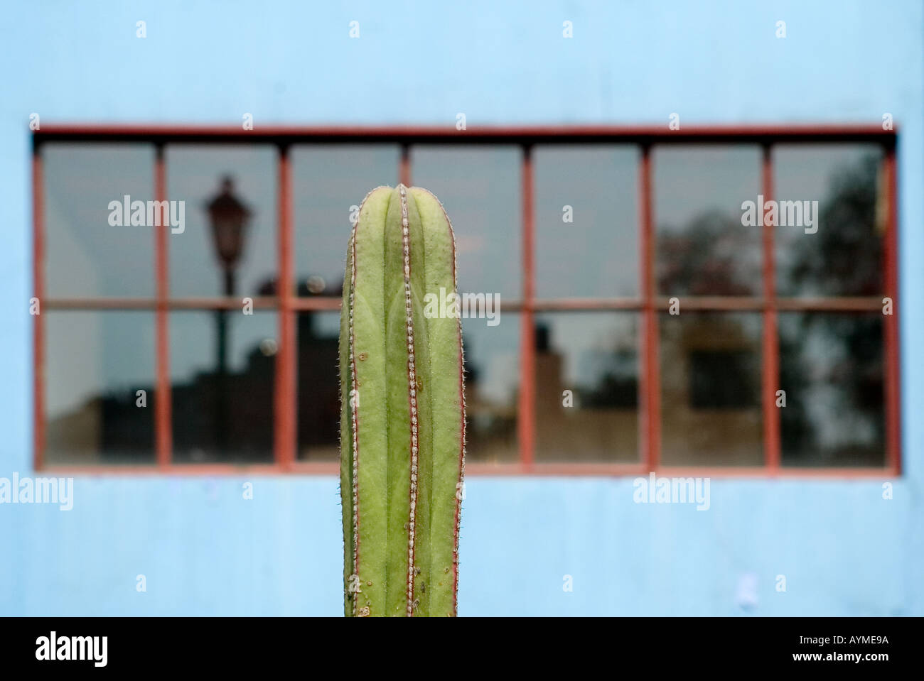 Museo Casa Estudio Diego Rivera y Frida Kahlo Diego Rivera und Frida Kahlo Studio Museum Mexiko-Stadt Stockfoto