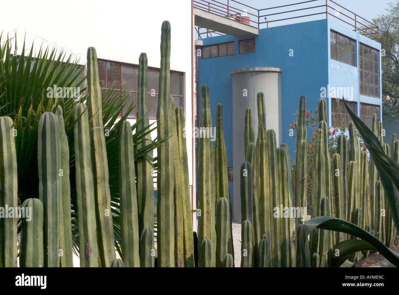 Museo Casa Estudio Diego Rivera y Frida Kahlo Diego Rivera und Frida Kahlo Studio Museum Mexiko-Stadt Stockfoto