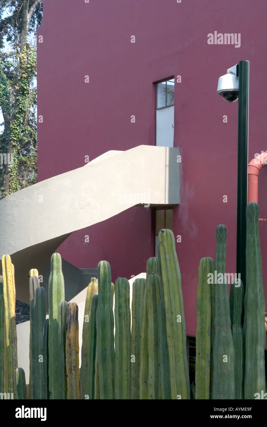 Museo Casa Estudio Diego Rivera y Frida Kahlo Diego Rivera und Frida Kahlo Studio Museum Mexiko-Stadt Stockfoto