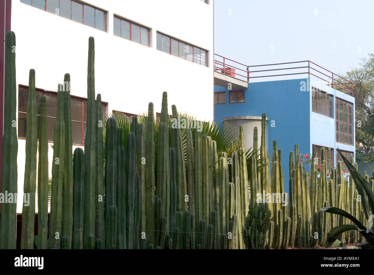 Museo Casa Estudio Diego Rivera y Frida Kahlo Diego Rivera und Frida Kahlo Studio Museum Mexiko-Stadt Stockfoto