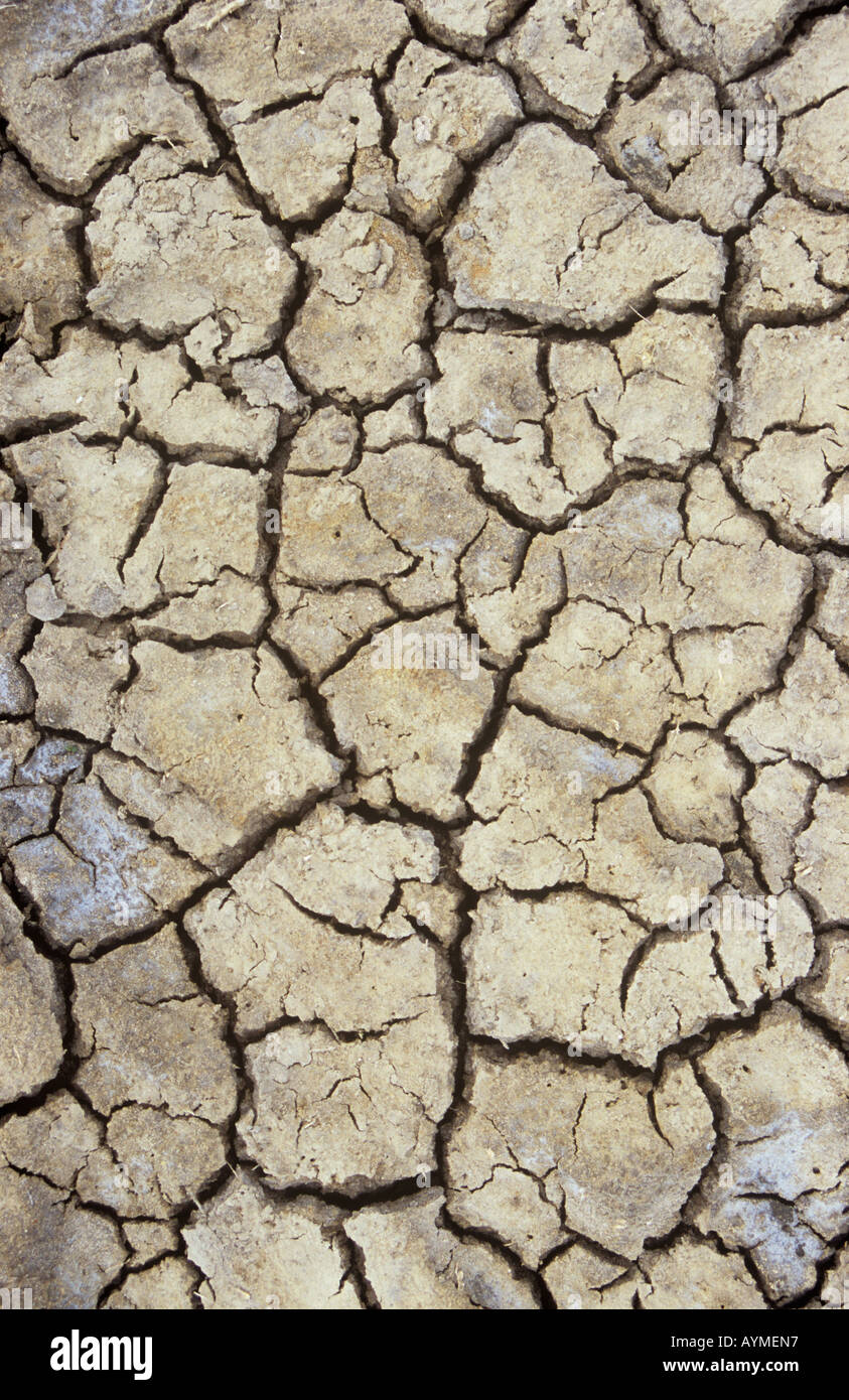 Detail aus direkt oberhalb des getrockneten rissige Erde Stockfoto