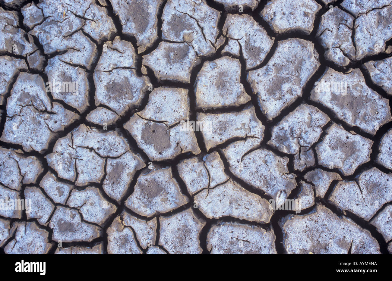 Detail aus direkt oberhalb des getrockneten rissige Erde oder Wattwanderungen mit Beschichtung aus Salz und gebleichte Chemikalien Stockfoto