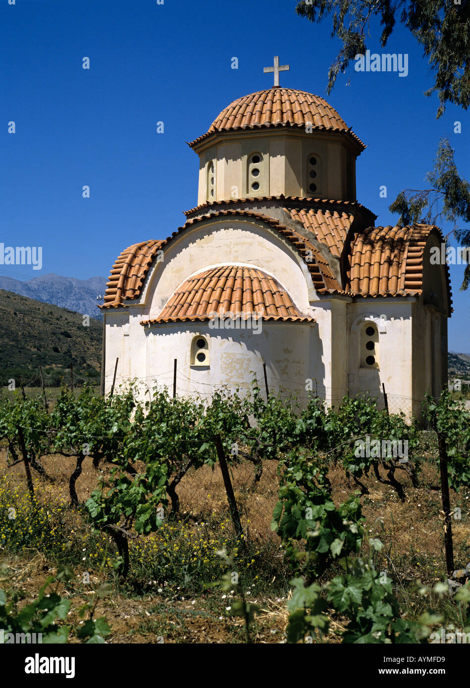 Kreta Griechenland eine orthodoxe Kapelle Kirche in Kastelli mit Ziegeldach, umgeben von Reben Stockfoto