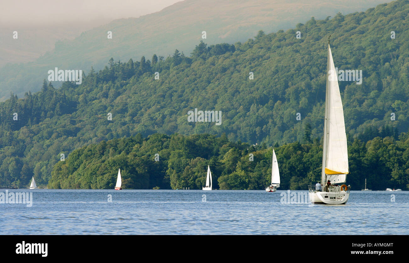 Yachten Segeln am Lake Windermere, The Lake District, Cumbria, England Stockfoto