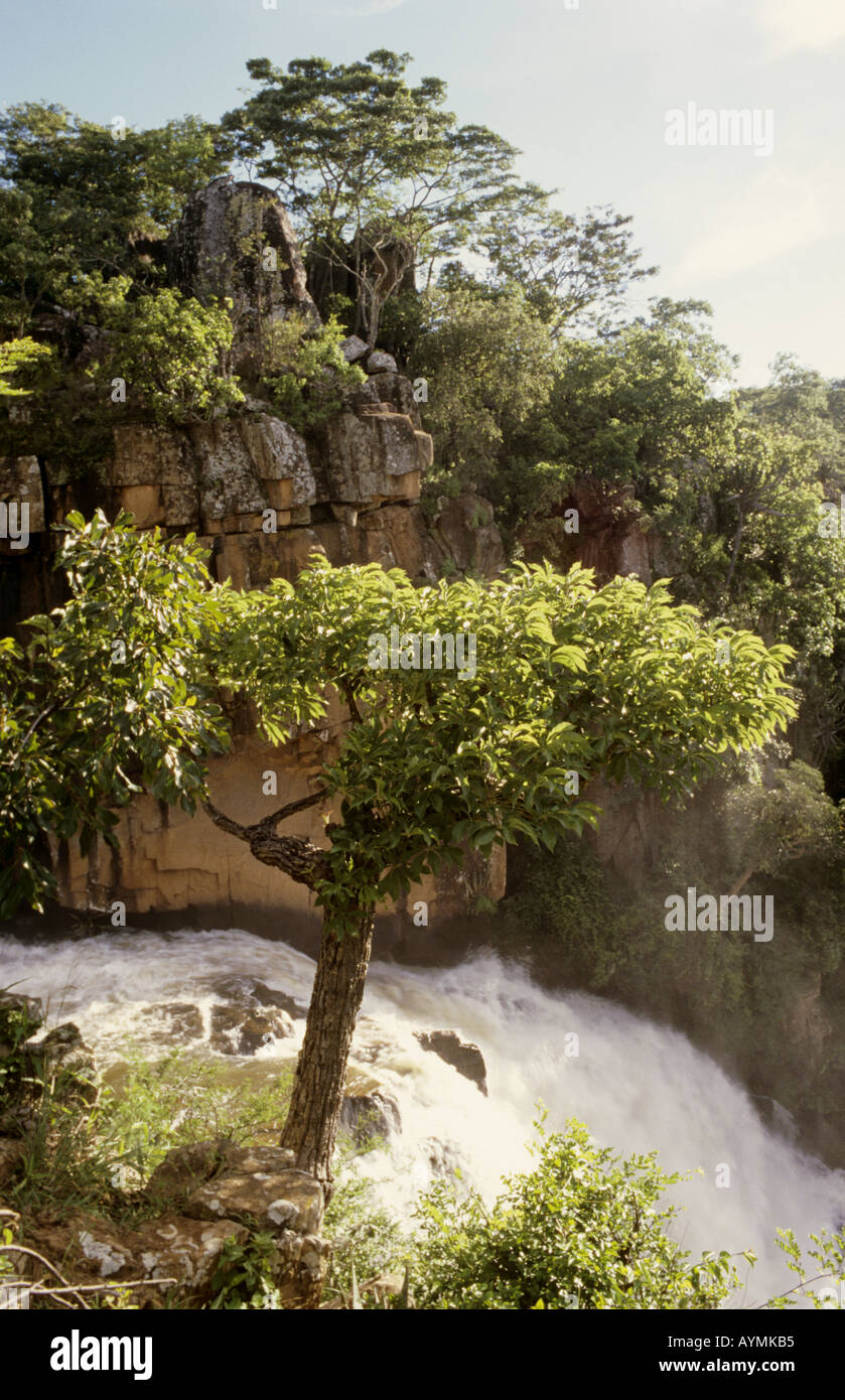 Nyangombe Falls, Nyanga Nationalpark, Eastern Highlands, Simbabwe, Afrika Stockfoto