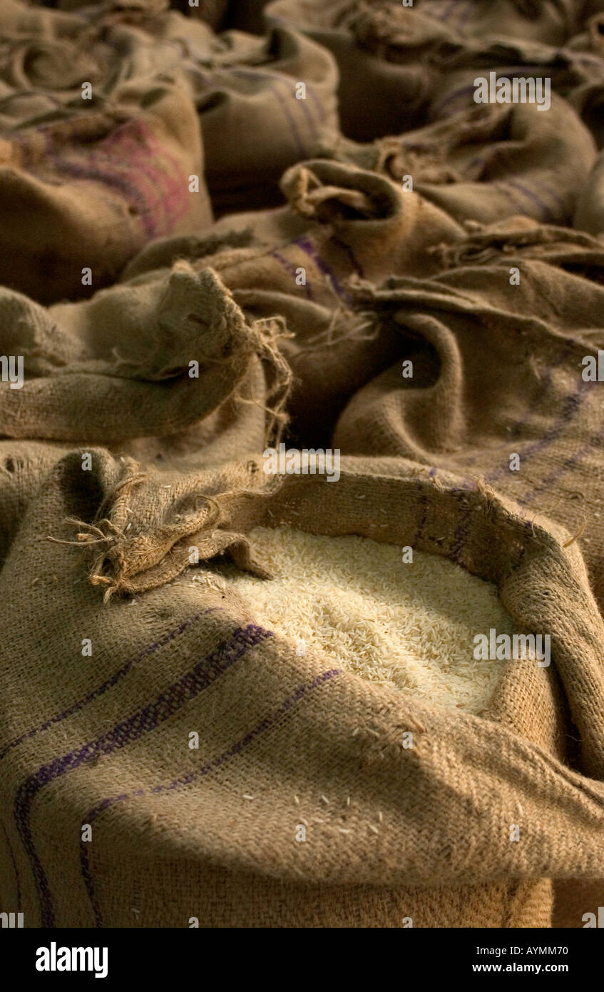 Säcke mit Reis warten auf Export aus Indien nach Europa Stockfoto