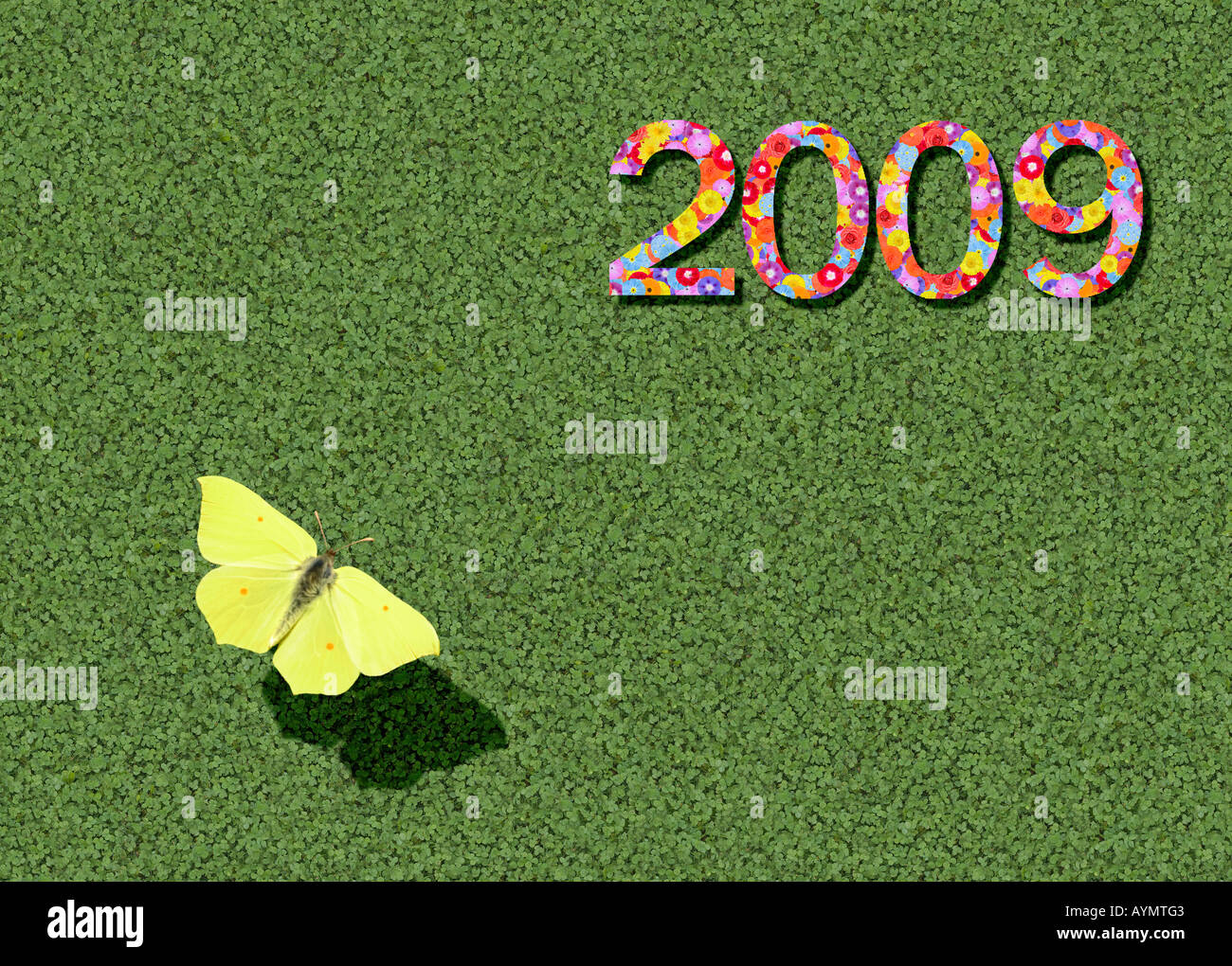 Jahr 2009 mit Schmetterling Zitronenfalter Gonepteryx Rhamni Stockfoto