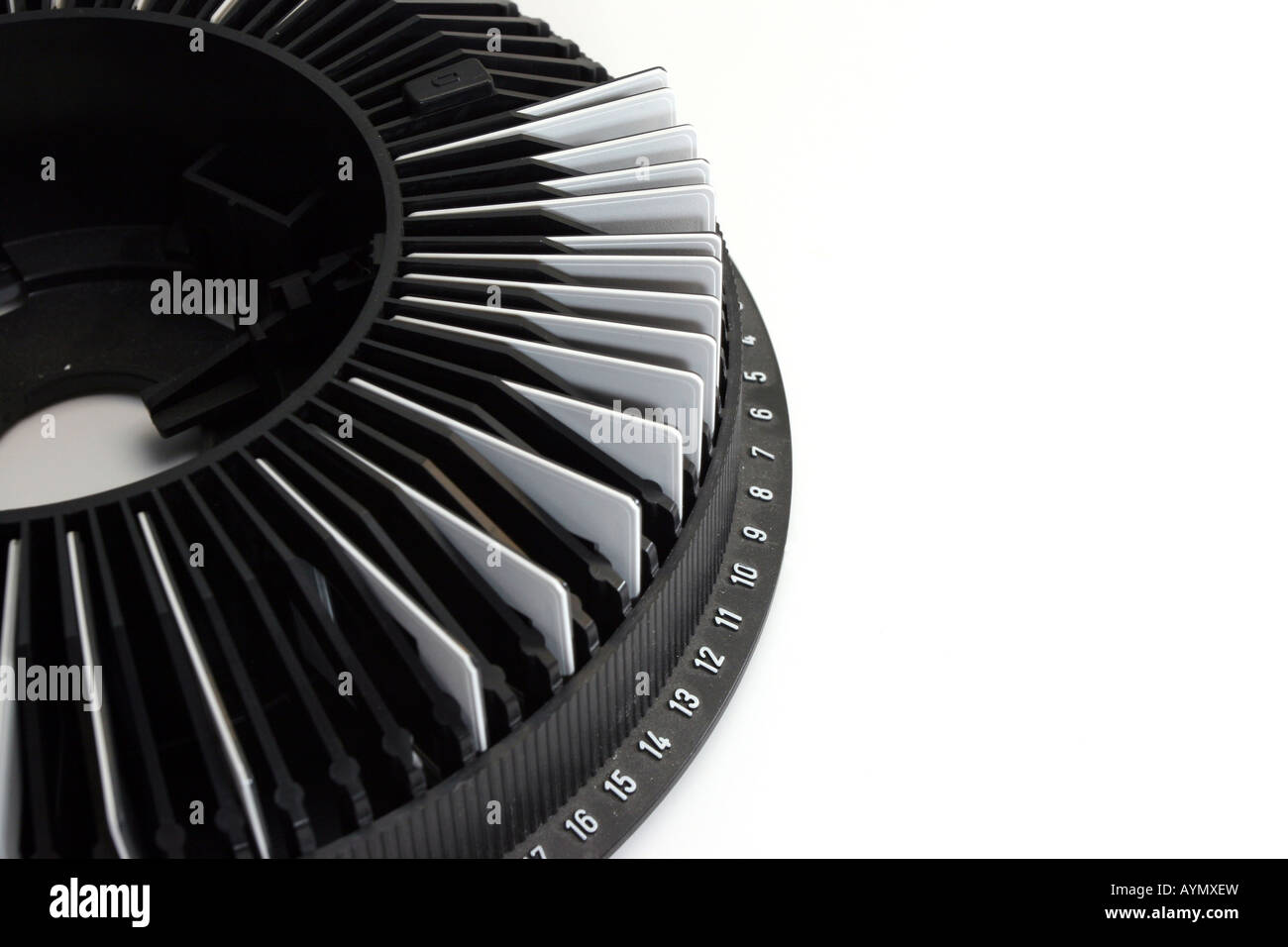 Bereit für eine Show in einem Ringsled Folien Stockfoto