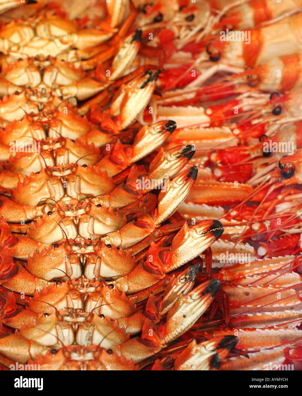 Seafoodscape Stockfoto