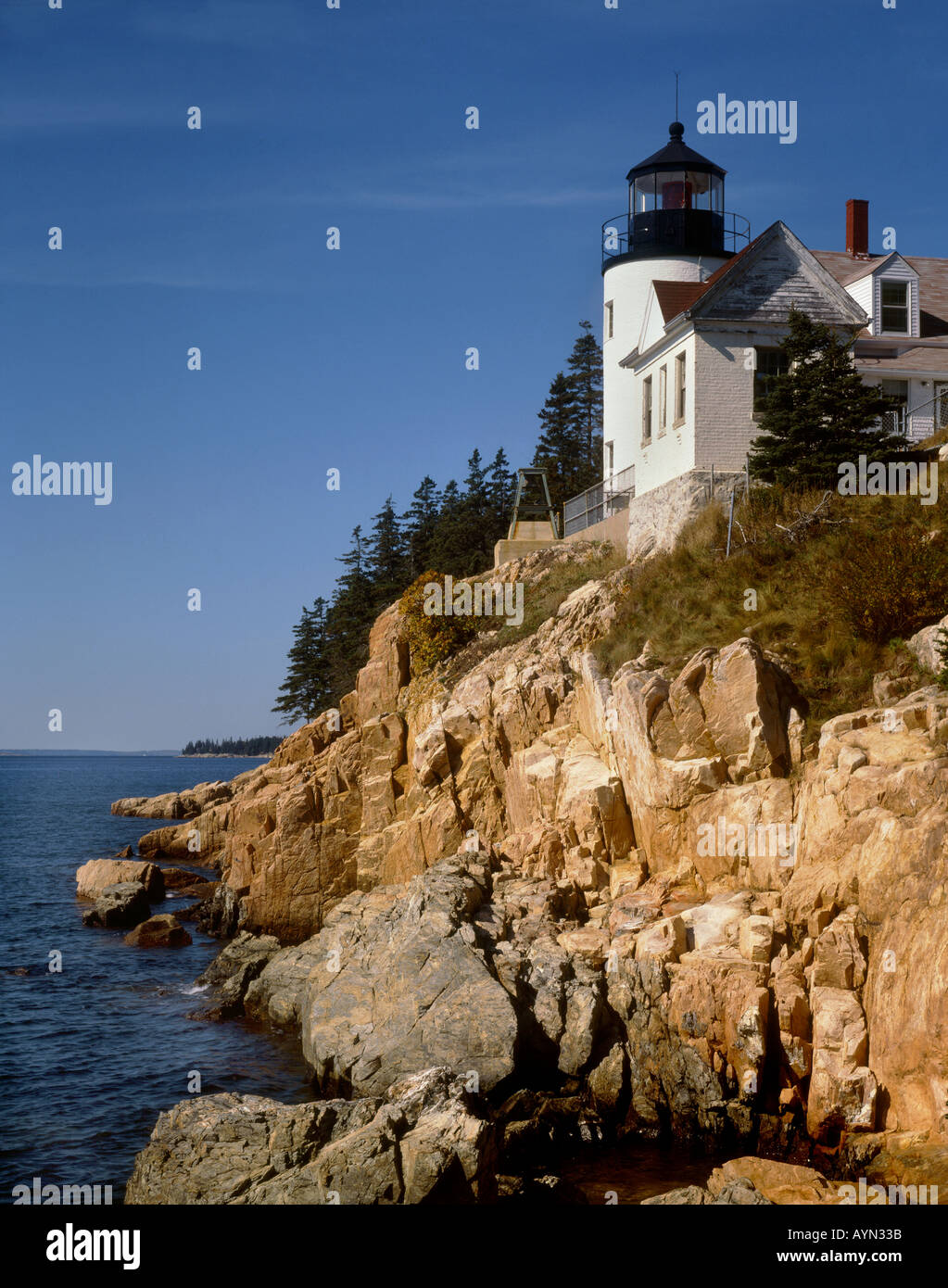 BASS HARBOR HEAD Leuchtturm erbaut 1858 auf der felsigen Atlantikküste MAINE Stockfoto