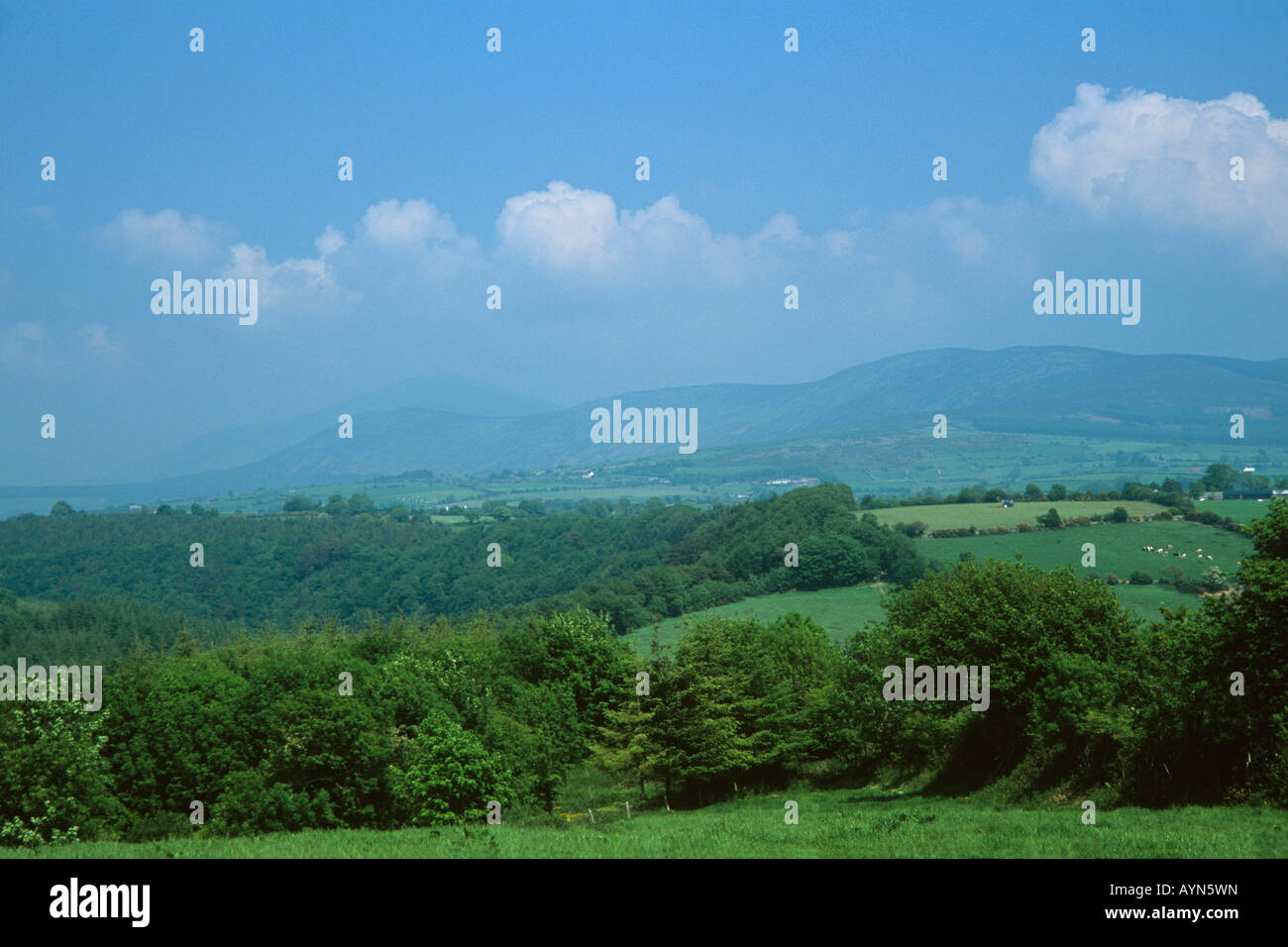 Blackstairs Mountains, Carlow/Wexford Grenze. Irland Stockfoto