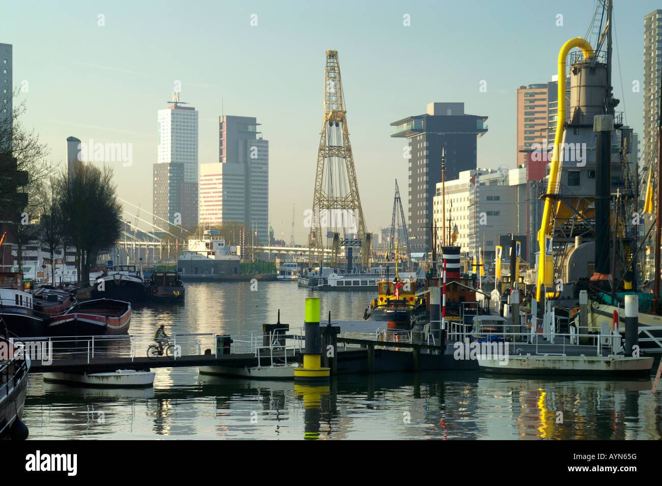 Ein Mann auf dem Fahrrad im Leuvehaven Hafen, Stadtzentrum von Rotterdam, Niederlande. Stockfoto