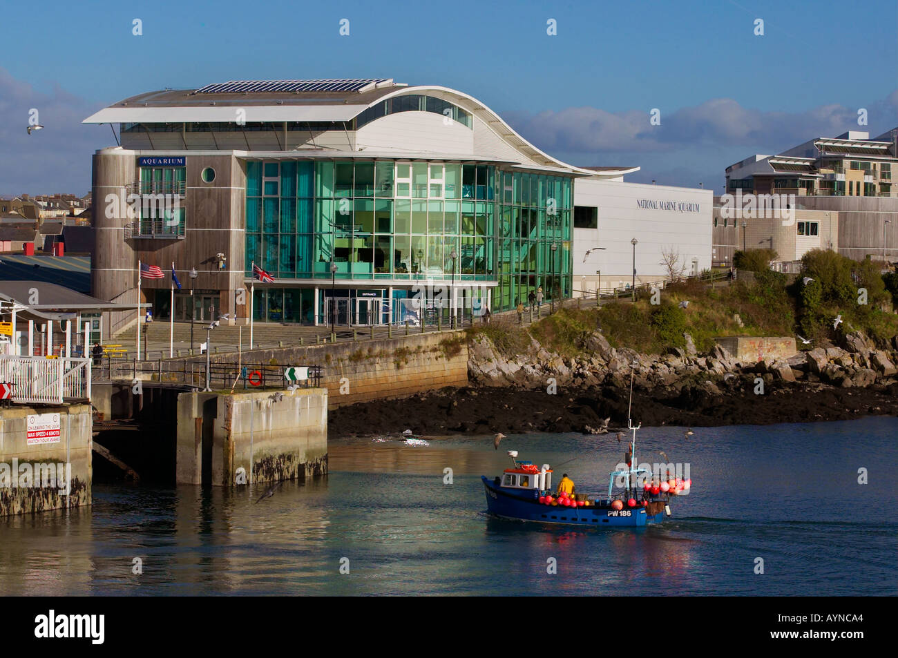 National Marine Aquarium Plymouth Devon UK Stockfoto