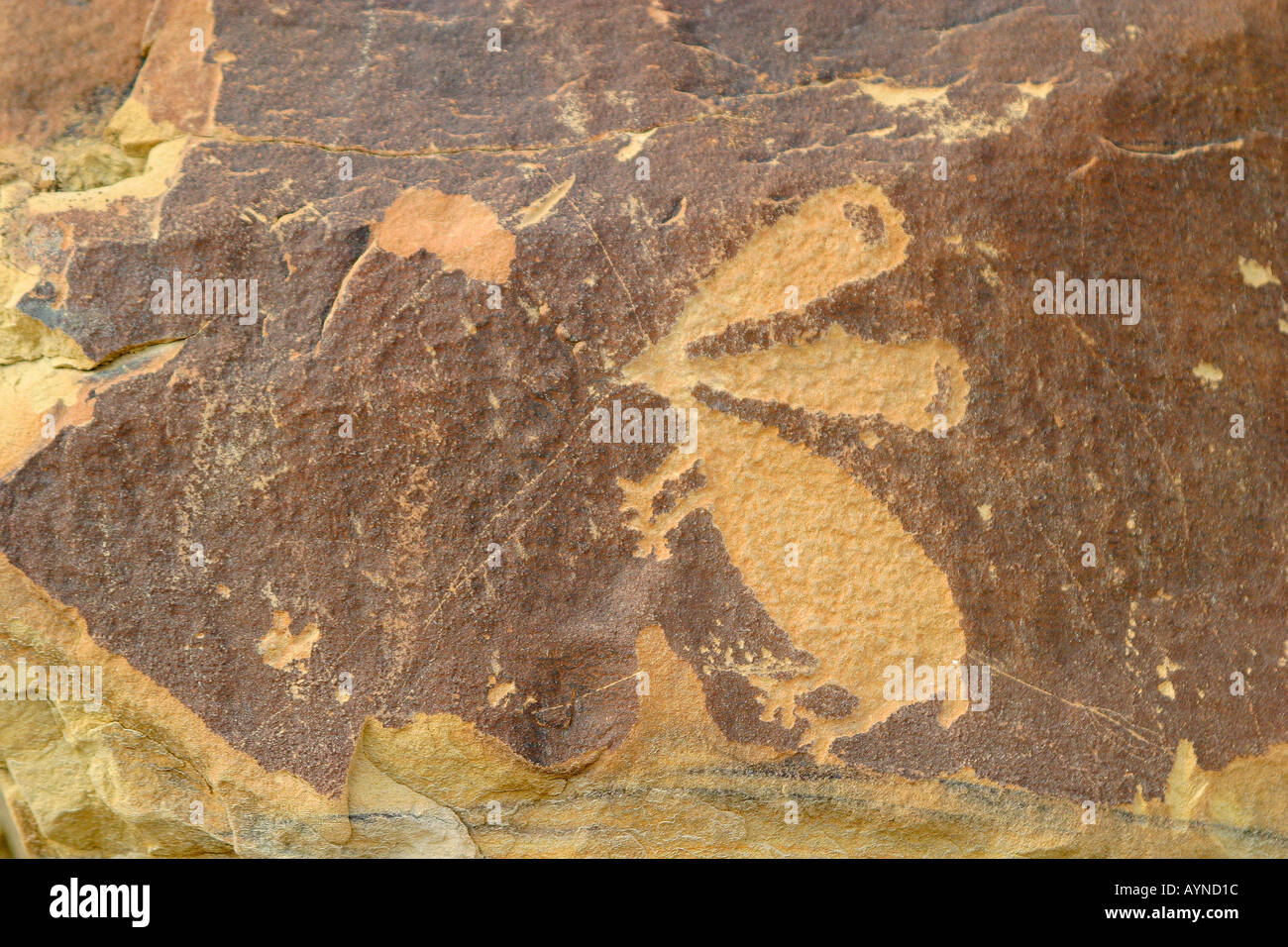 Petroglyph Legend Rock archäologische Stätte in Wyoming Stockfoto