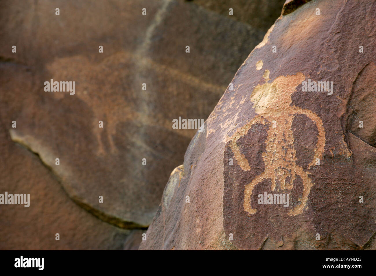 Petroglyph Legend Rock archäologische Stätte in Wyoming Stockfoto