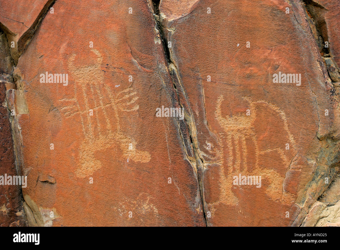 Petroglyph Legend Rock archäologische Stätte in Wyoming Stockfoto