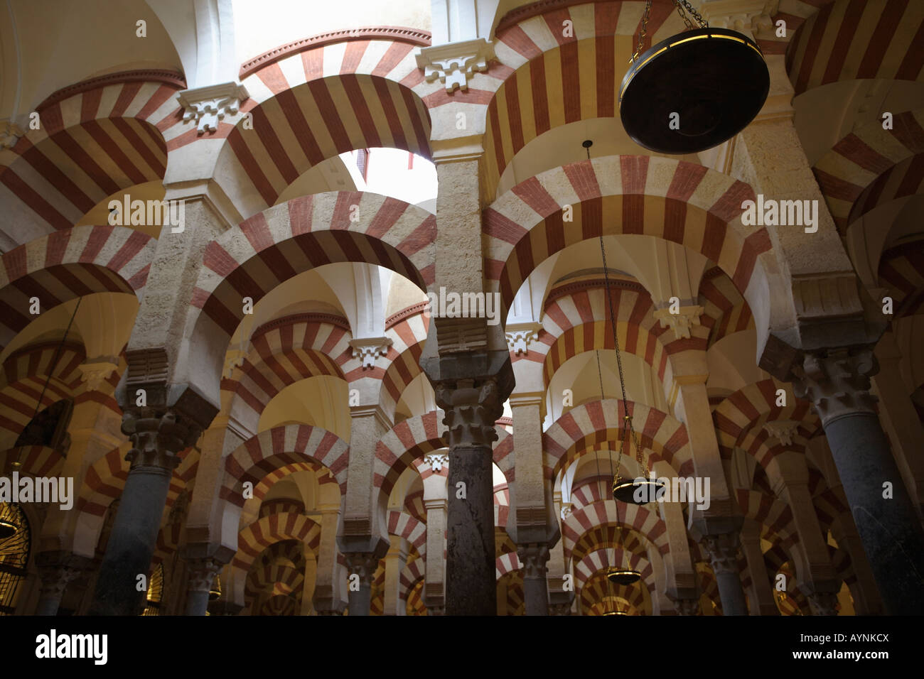 Die innere Spalten in der Kathedrale von Cordoba. Córdoba, Andalusien, Spanien Stockfoto