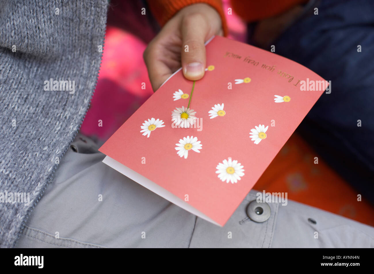 Hand von einem Teenager halten eine Postkarte und ein Gänseblümchen, close-up, erhöhte Ansicht Stockfoto