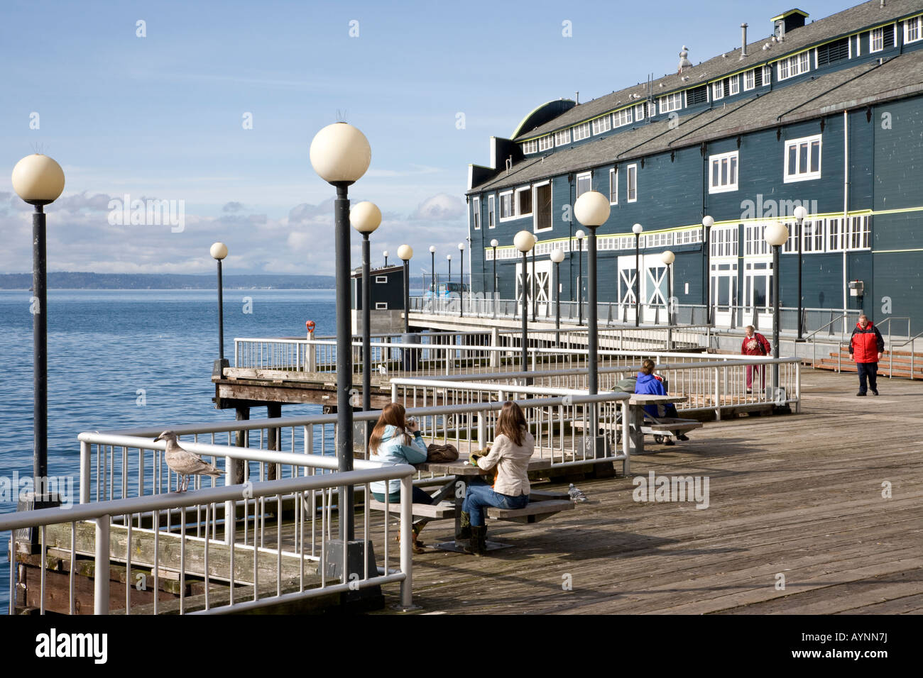 Seattle Washington State USA Seattle Aquarium auf Elliott Bay Waterfront Stockfoto