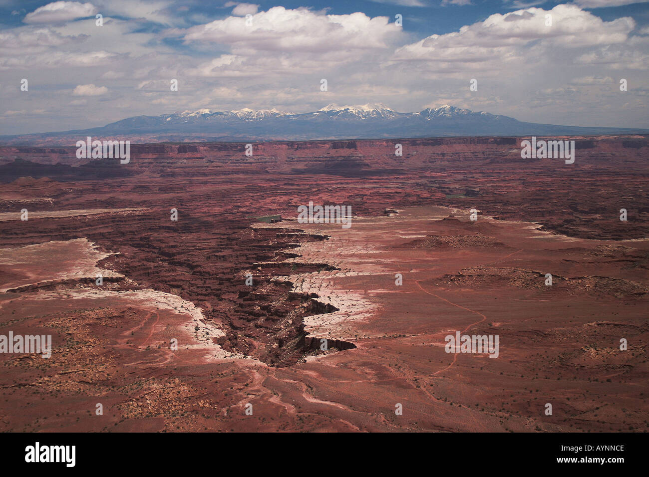 Karge Landschaft Canyon Lands Utah USA Stockfoto