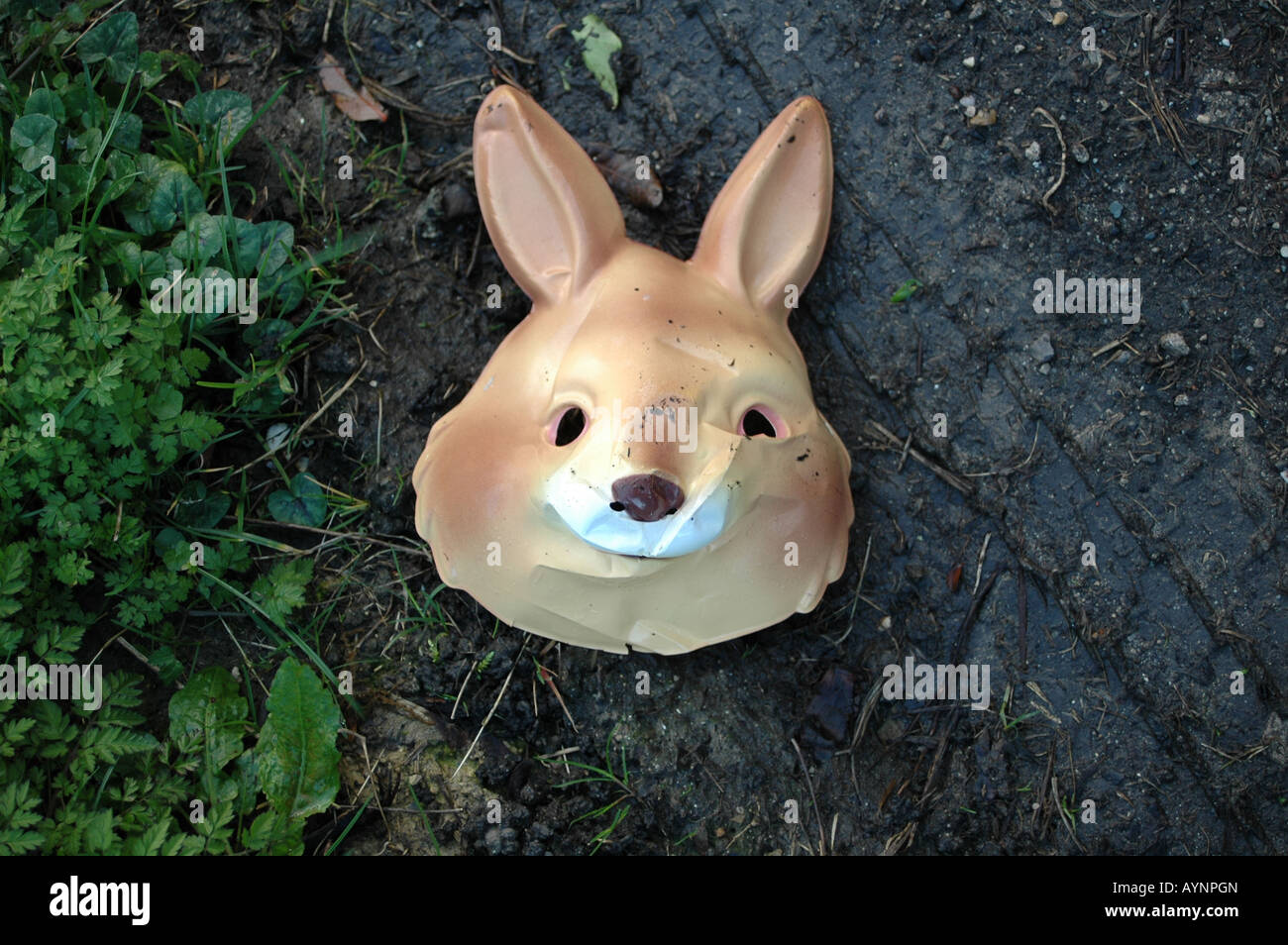 Eine Kaninchen-Maske auf der Seite einen schlammigen Strecke leicht zerquetscht aber immer noch lächelnd. Stockfoto